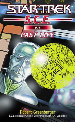 Starfleet Corps of Engineers #15: Past Life