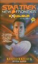 Star Trek: New Frontier #11: Excalibur: Restoration