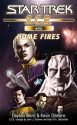 Starfleet Corps of Engineers #25: Home Fires